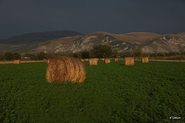 album/044 Contrasto di colori e stagioni-piana del Fucino - Avezzano.JPG